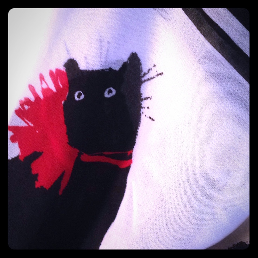 NWT Jason Wu for Target Cat scarf